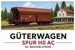 Spur H0 AC