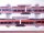 »PIKO 59501 H0 DC · ELEKTROTRIEBWAGEN TALENT 2 ET 442 DER DB · OVP«